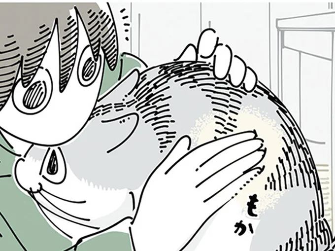 触り心地