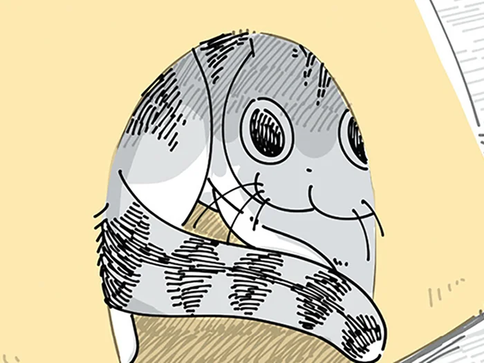数カ月の時を経て!? 使ってくれずしまいかけたベッドにネコが