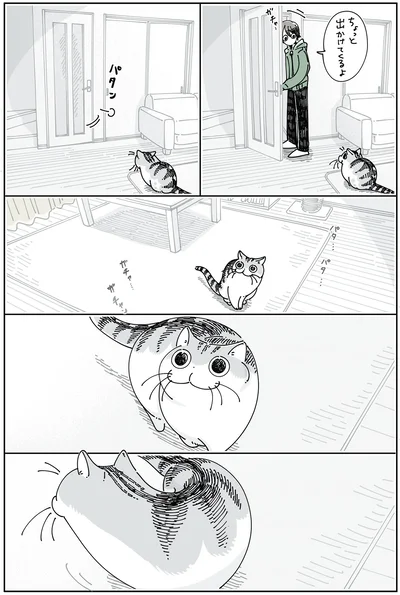 飼い主が出かけると