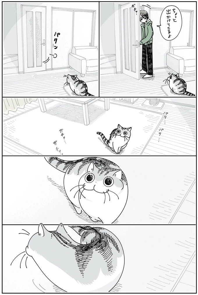 飼い主が出かけると