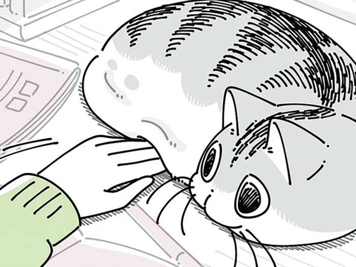 なくしものが見つかるかも？ くつろぐネコの体を、そっとめくってみたら