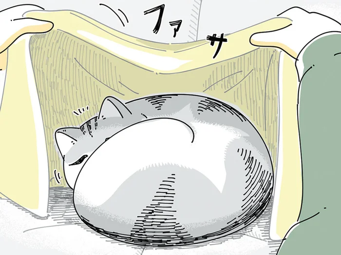 自分からもぐりたい？ 寒そうにしているネコにふとんをかけてみたら