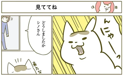 『うちの猫がまた変なことしてる。2』より