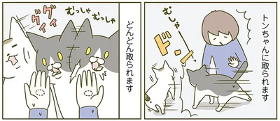 『うちの猫がまた変なことしてる。2』より