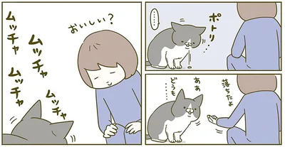 『うちの猫がまた変なことしてる。2』より