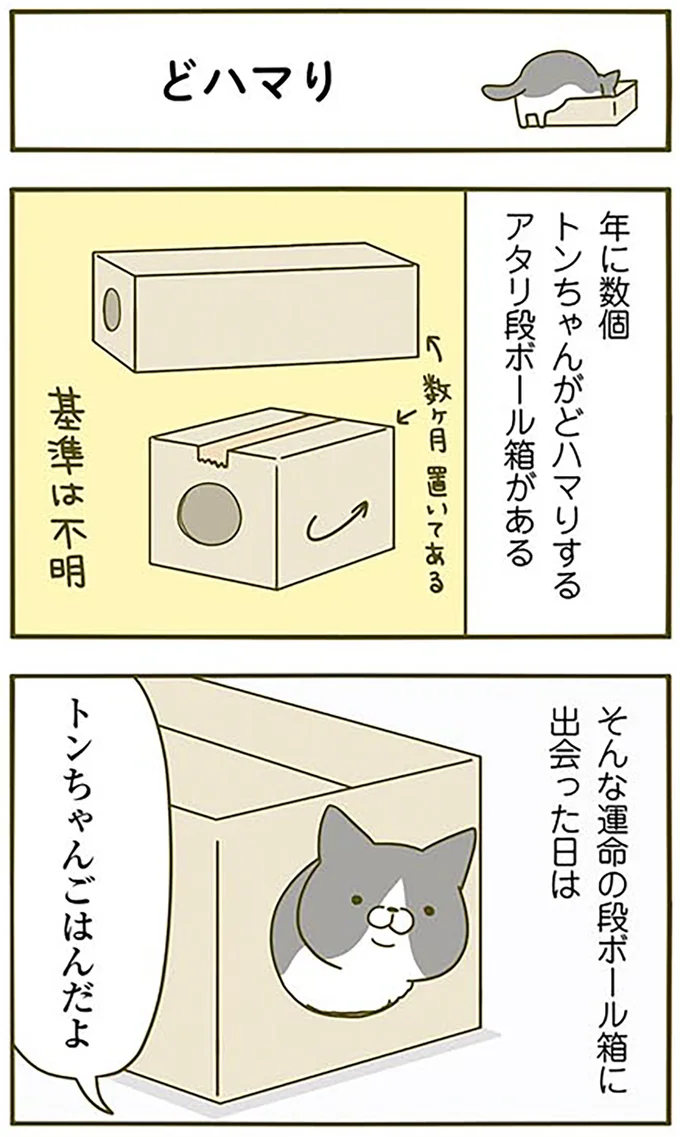 『うちの猫がまた変なことしてる。2』より