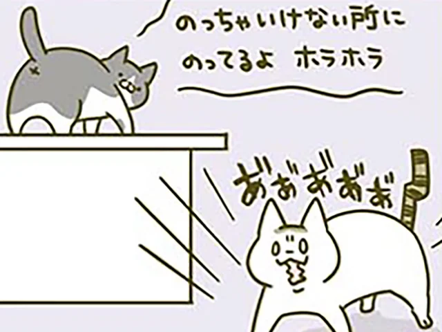 「そこに座ってろよな」目線が近いと安心するの？ 忙しいときに「構えアピール」する猫