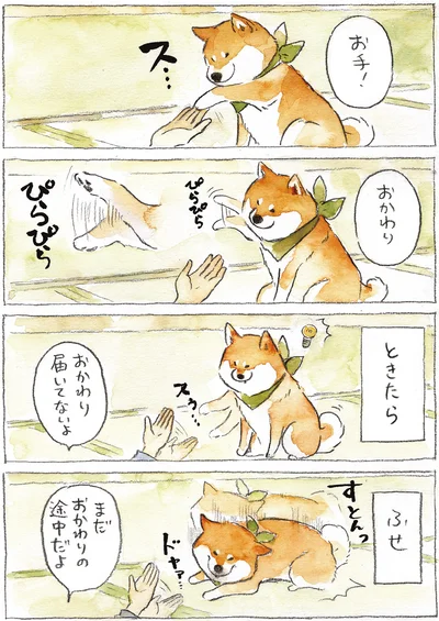 『柴犬ぽんちゃん、今日もわが道を行く2』より