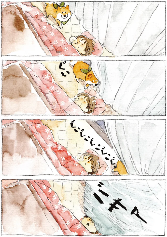 『柴犬ぽんちゃん、今日もわが道を行く2』より