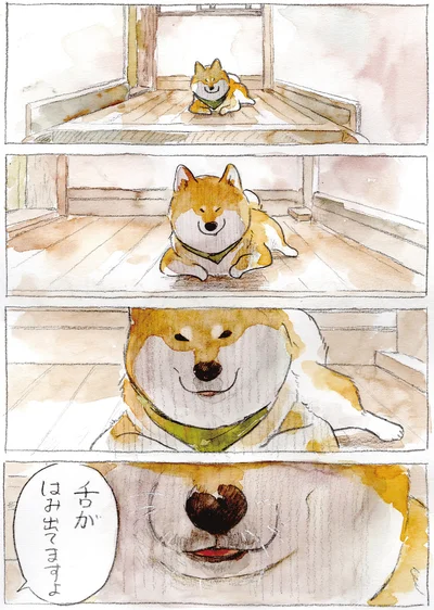 『柴犬ぽんちゃん、今日もわが道を行く2』より