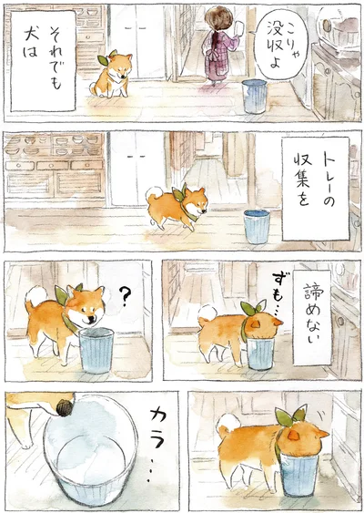 『柴犬ぽんちゃん、今日もわが道を行く2』より