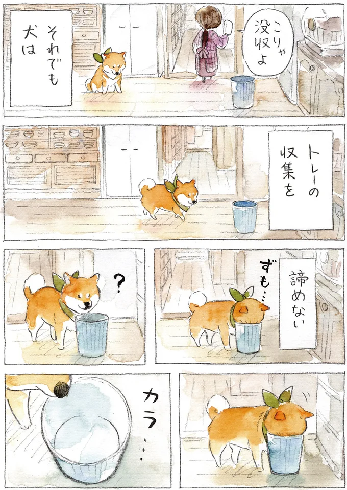 『柴犬ぽんちゃん、今日もわが道を行く2』より