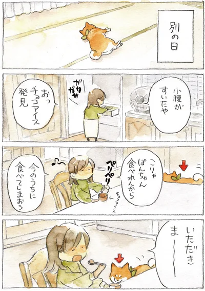 『柴犬ぽんちゃん、今日もわが道を行く2』より