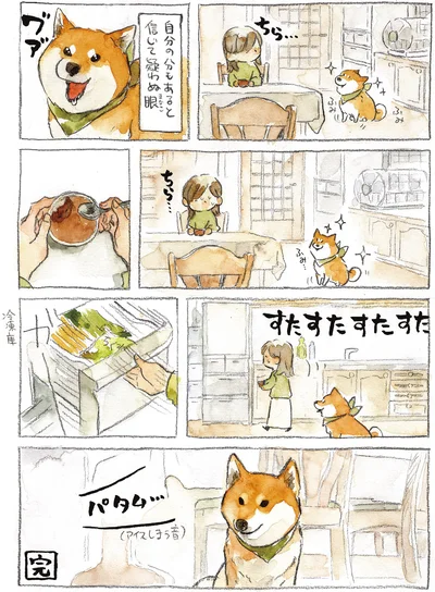 『柴犬ぽんちゃん、今日もわが道を行く2』より