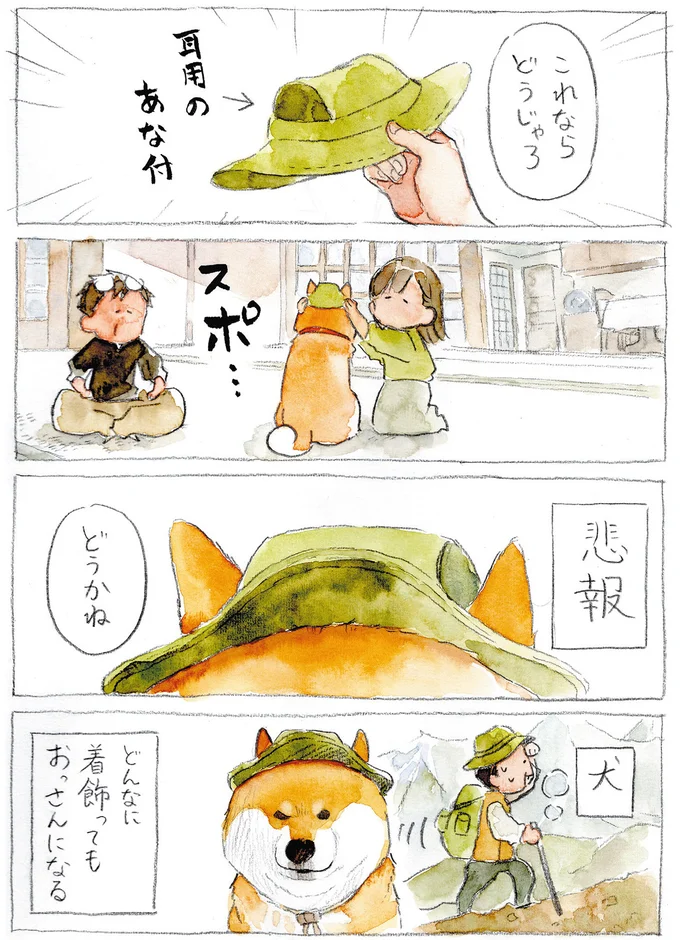 『柴犬ぽんちゃん、今日もわが道を行く2』より