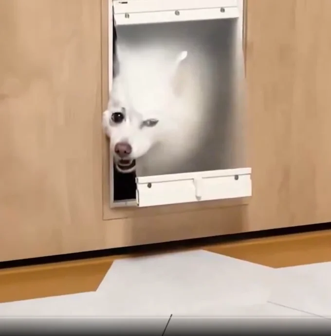 部屋の様子をうかがっています▶部屋を覗いたあとは…(⇒次へ)
