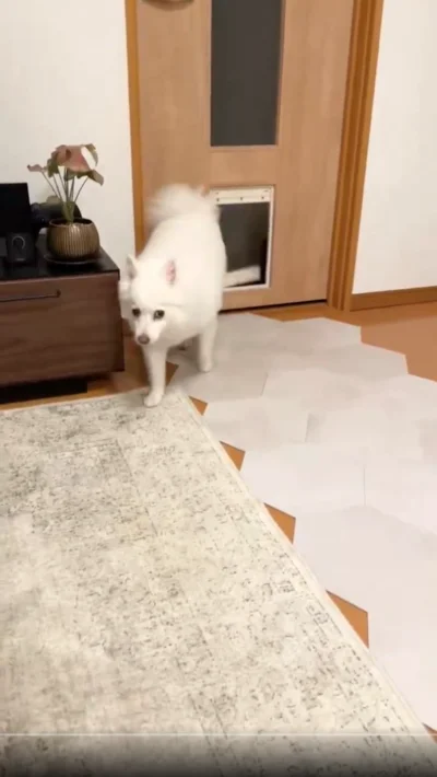 よいしょっと！▶上手に使いこなしていますね（⇒次へ）
