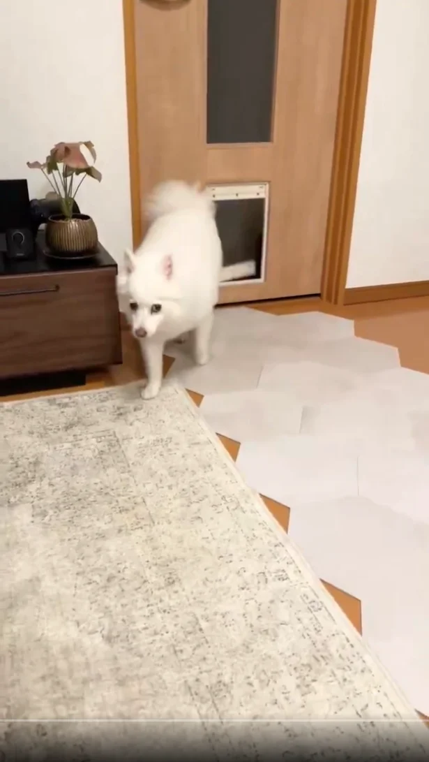 よいしょっと！▶上手に使いこなしていますね（⇒次へ）