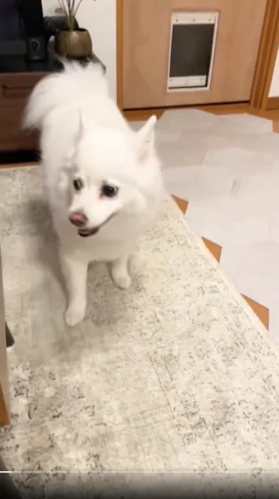 あっという間にくぐり抜けてきました▶投稿主さんの元へ（⇒次へ）