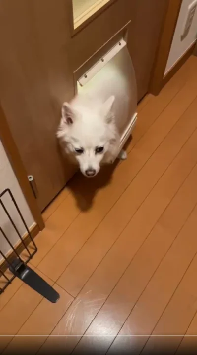 あれ？挟まった！？▶なぜか急に通れなくなることも（⇒次へ）