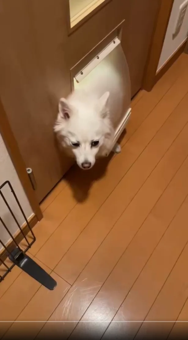 あれ?挟まった!?▶なぜか急に通れなくなることも(⇒次へ)