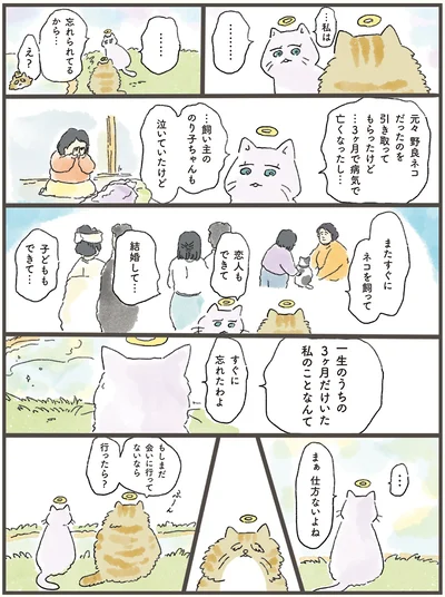 『天国での暮らしはどうですか』より