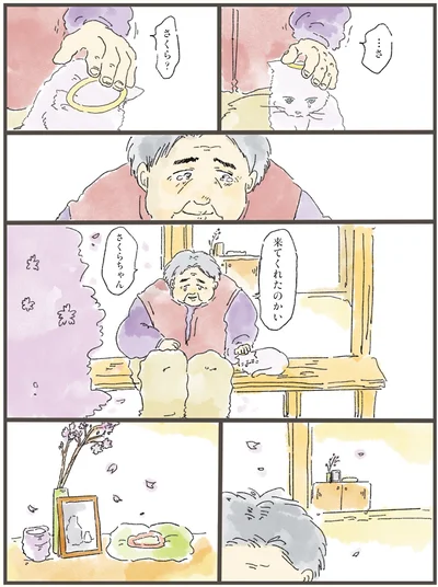 『天国での暮らしはどうですか』より