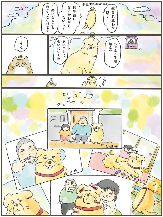 『天国での暮らしはどうですか』より