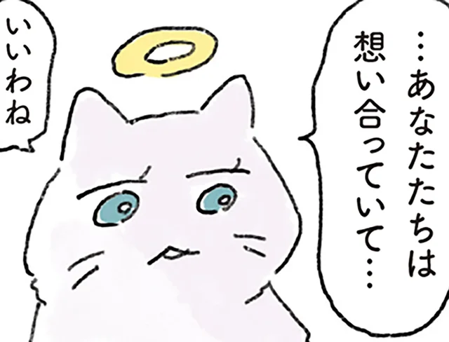 一緒に暮らしたのは3ヶ月だけ。亡くなった猫が想い続ける飼い主との記憶
