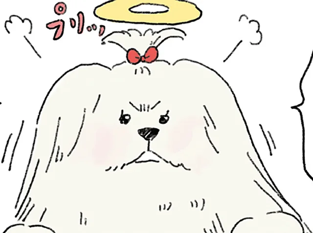 ただいま、私の家。天国から戻ったペットが見た、飼い主家族のいま