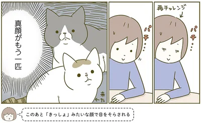 真顔がも一匹