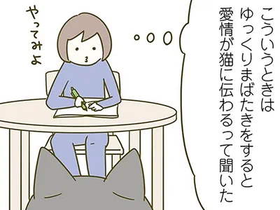まばたきで愛を伝えたい！