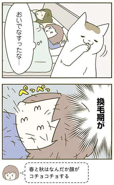 換毛期が
