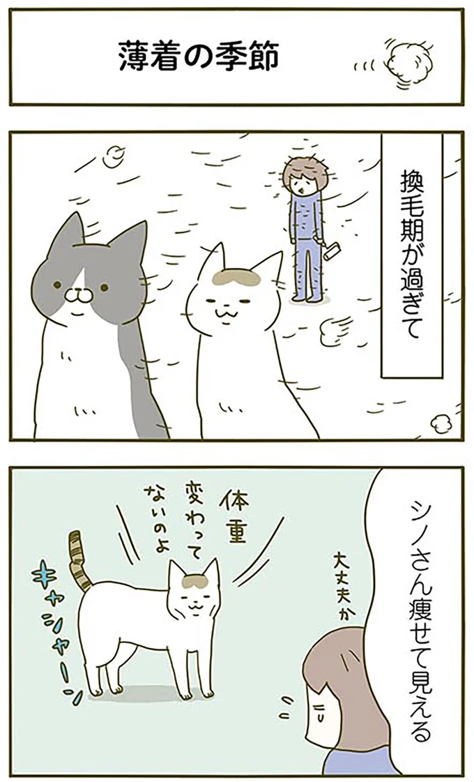 薄着の季節