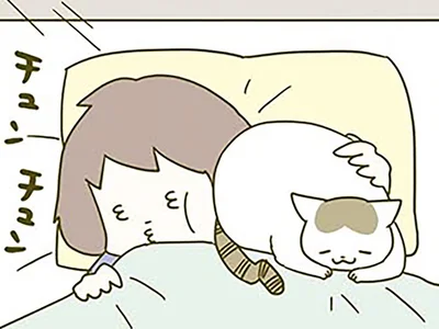 春の日の朝