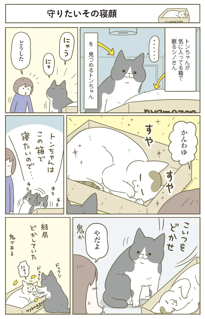 『うちの猫がまた変なことしてる。７』より