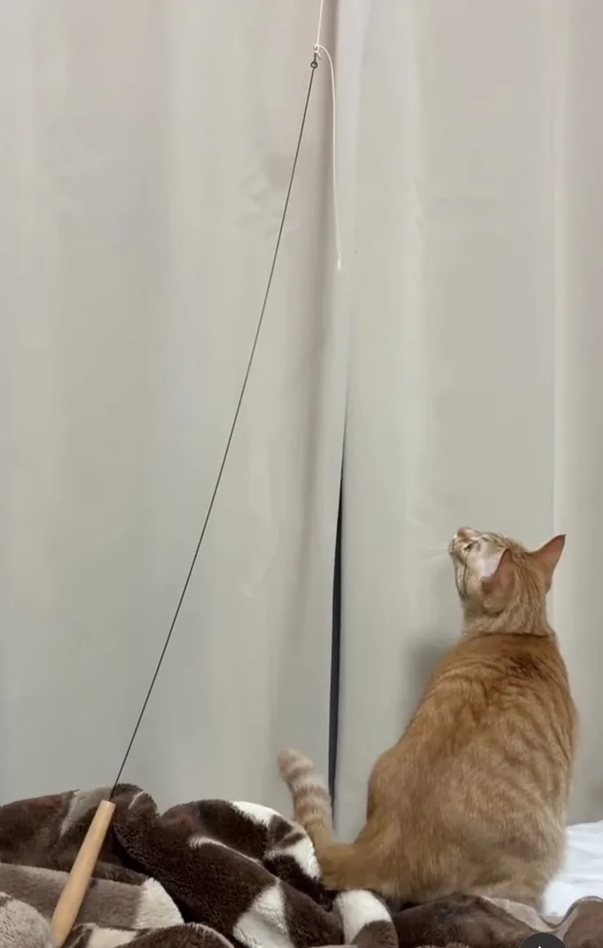 クリップが気になる…▶クリップを取ろうと…(⇒次へ)