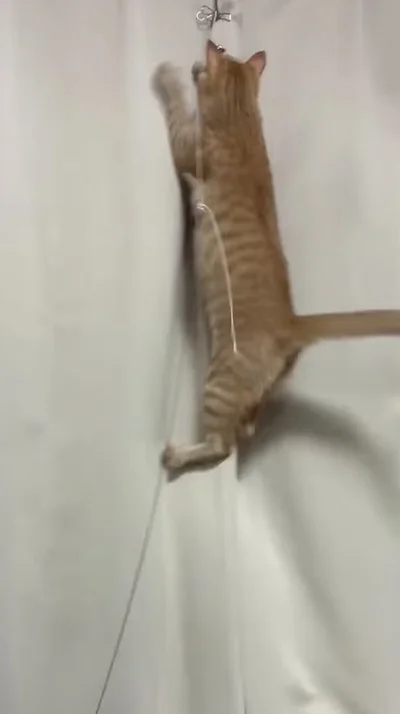ジャンプ！▶届かず…（⇒次へ）