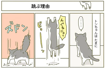 飛ぶ理由