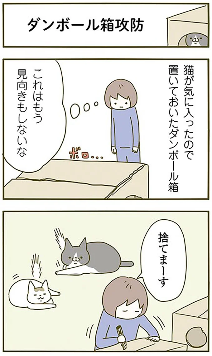 ダンボール箱攻防