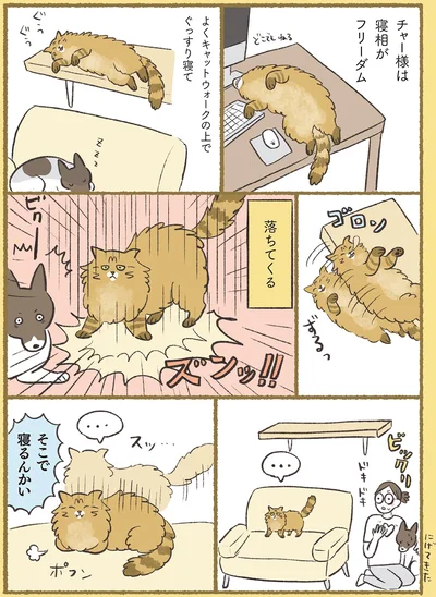 『犬猫３匹、撫でても撫でても手が足りない』より