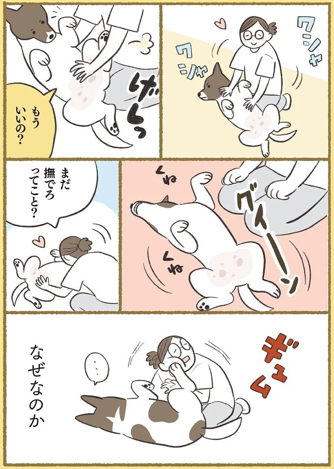 『犬猫３匹、撫でても撫でても手が足りない』より