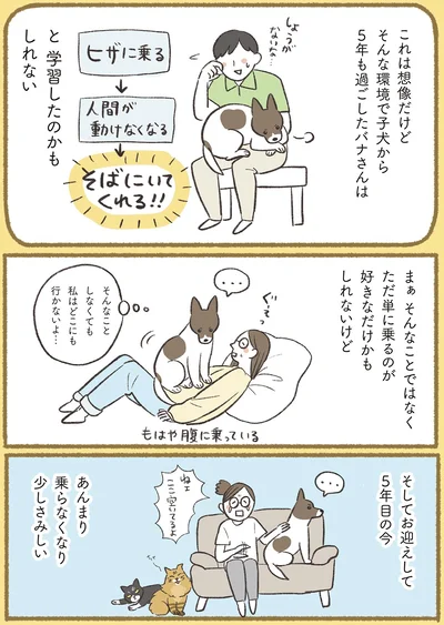 『犬猫３匹、撫でても撫でても手が足りない』より