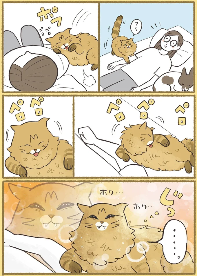 『犬猫３匹、撫でても撫でても手が足りない』より