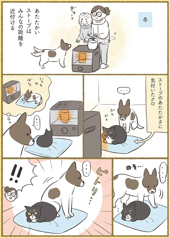 『犬猫３匹、撫でても撫でても手が足りない』より