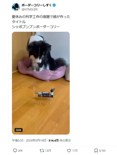 夏休みの科学工作「シッポブンブンボーダーコリー」の投稿が話題に！▶ワンコの前に置かれたのは娘さんの夏休みの工作です（⇒次へ）
