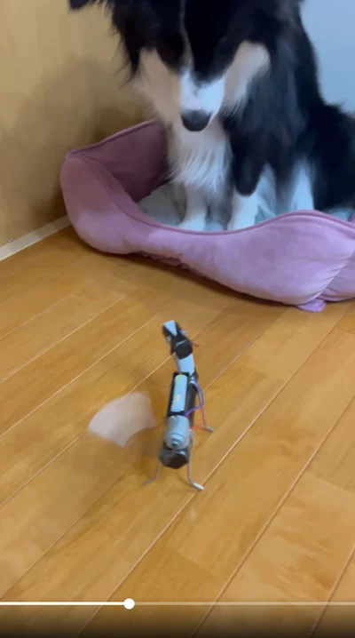 クッションの上にはこの作品のモデルになったしずくちゃん▶不思議そうに眺めています（⇒次へ）