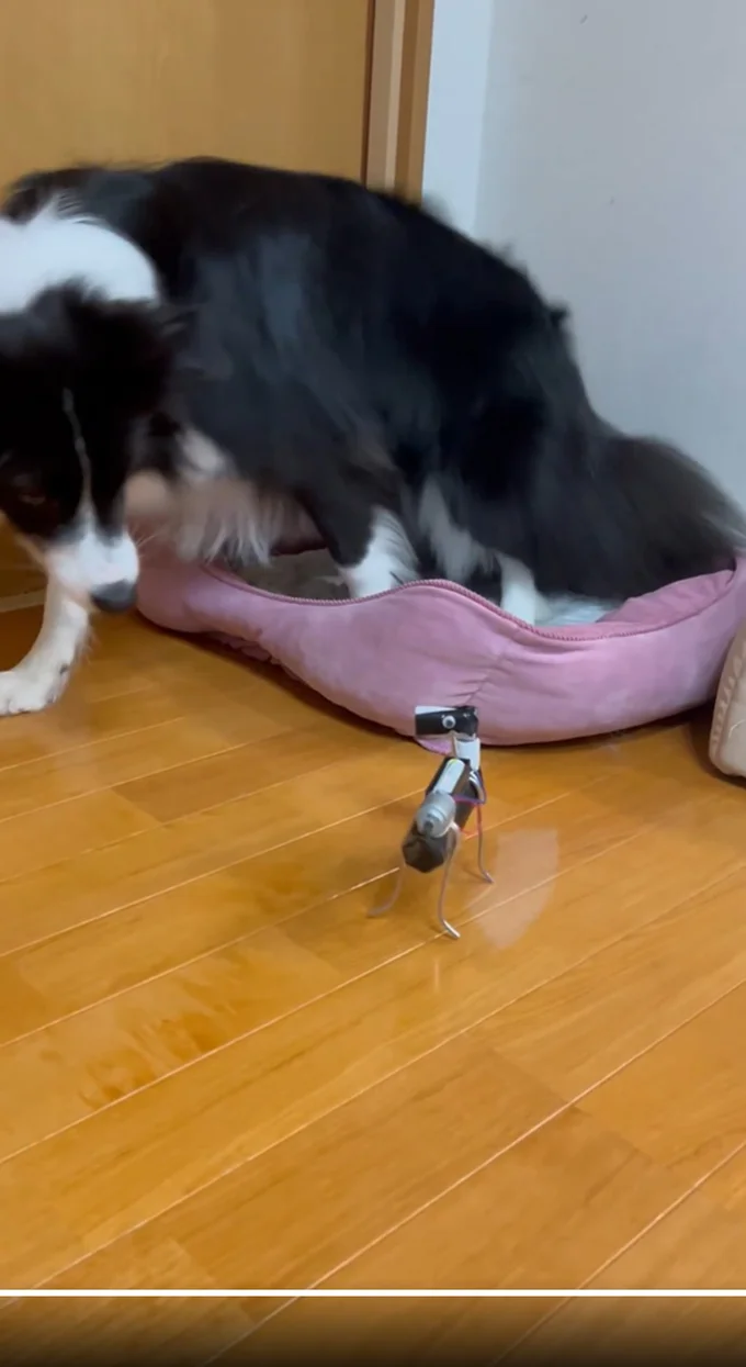 様子を見ながら▶動き出したしずくちゃん(⇒次へ)