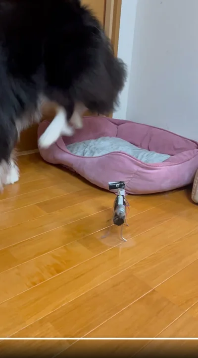 立ち去ってしまいました▶おもちゃはその後（⇒次へ）