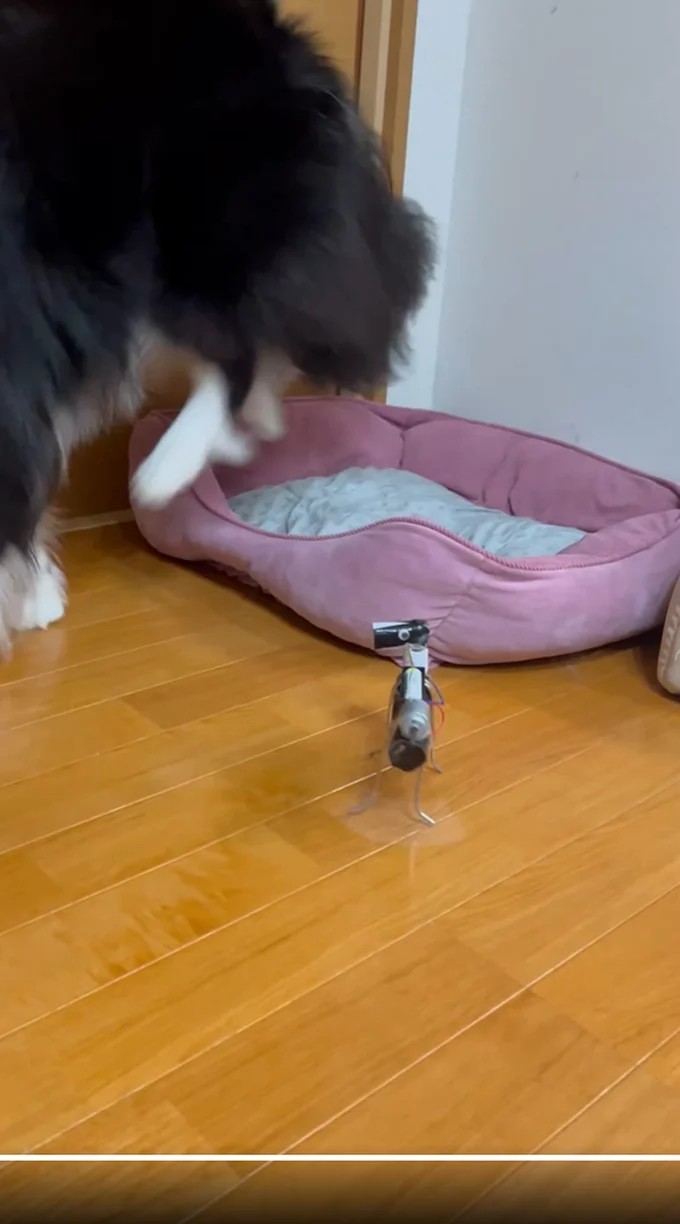 立ち去ってしまいました▶おもちゃはその後(⇒次へ)